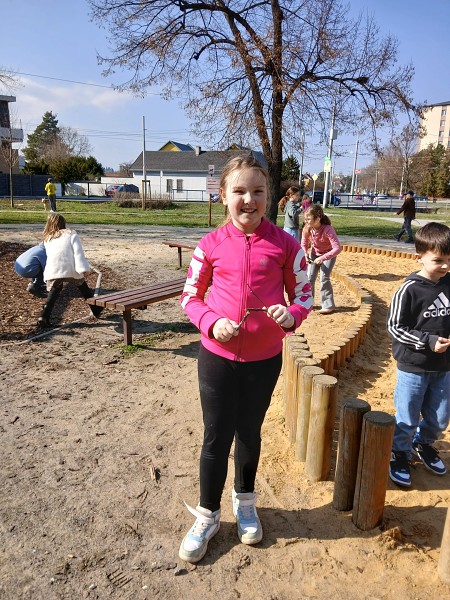 Šipkovaná