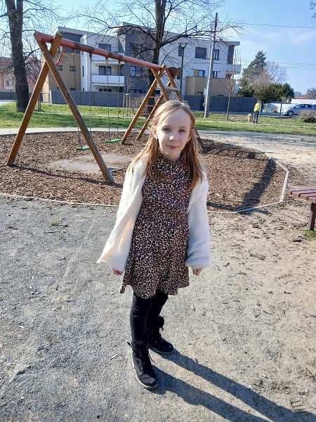 Šipkovaná