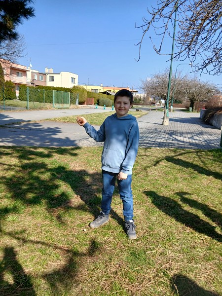 Šipkovaná