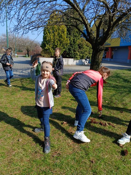 Šipkovaná