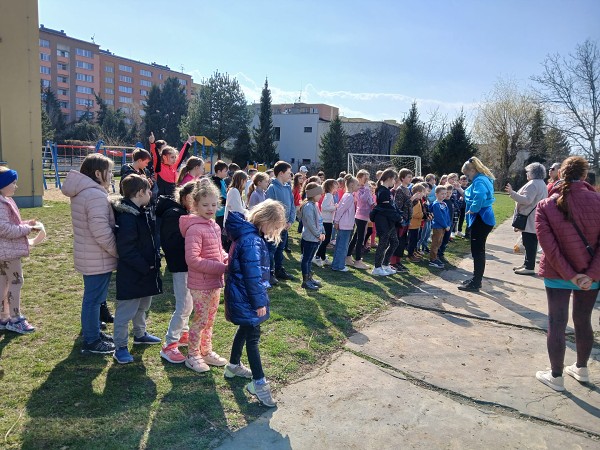 Šipkovaná