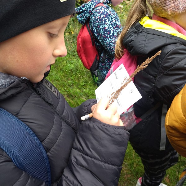 4. ročník - Lesní pedagogika