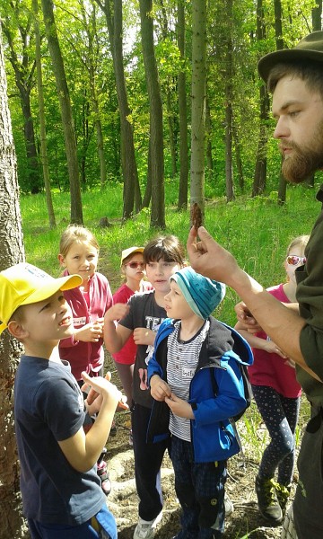 Lesní pedagogika - 1. třída