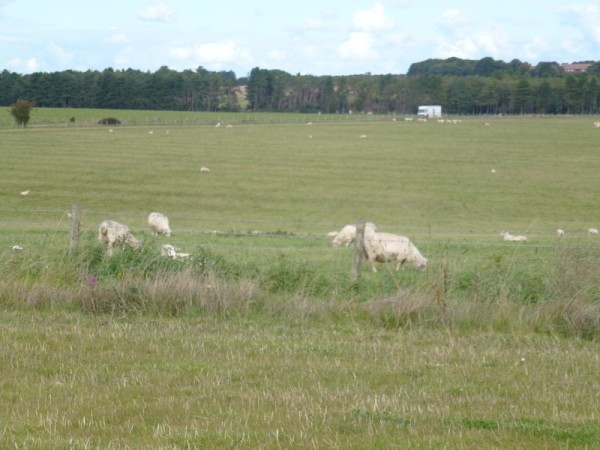Anglie 3.den