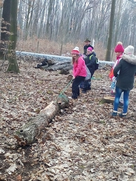 Lesní pedagogika 4. a 5. tříd