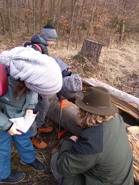 Lesní pedagogika 4. a 5. tříd