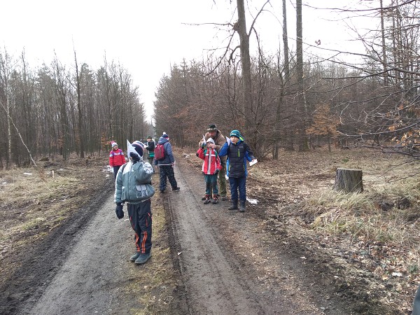 Lesní pedagogika 4. a 5. tříd