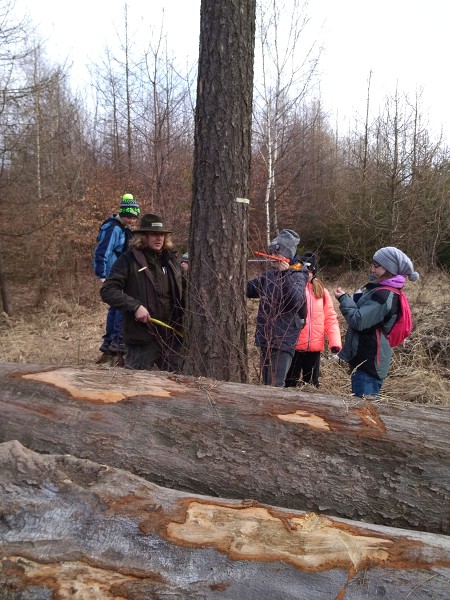 Lesní pedagogika 4. a 5. tříd