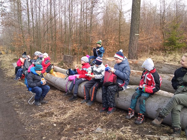 Lesní pedagogika 4. a 5. tříd