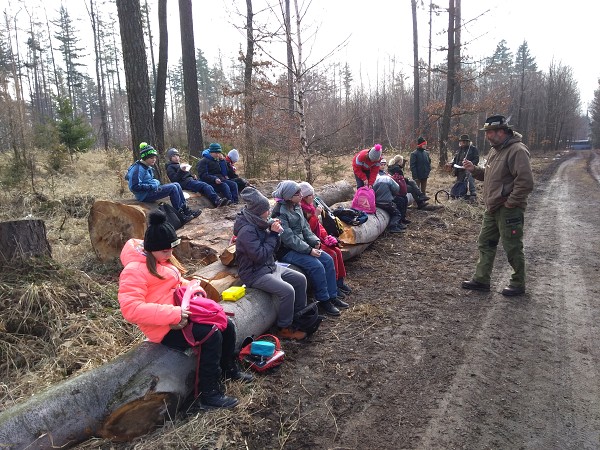 Lesní pedagogika 4. a 5. tříd