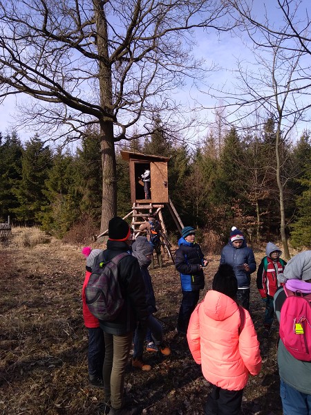 Lesní pedagogika 4. a 5. tříd